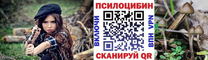 Псилоцибиновые грибы Cubensis  Купить  Старая Купавна 